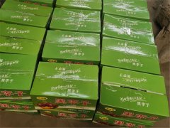 8月10日，商丘利菲爾特開(kāi)展高溫送清涼活動(dòng)